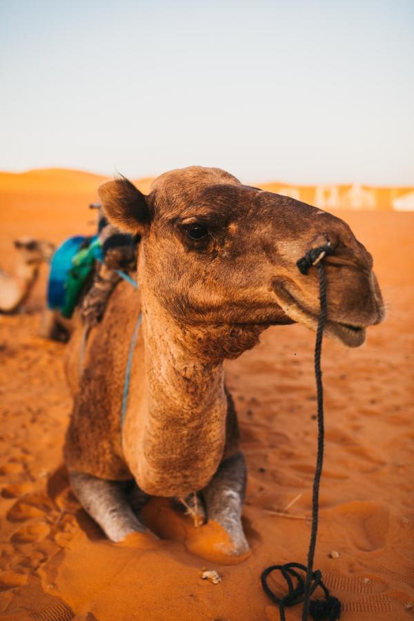 Sanmao Desert Luxury Camp 메르주가 외부 사진